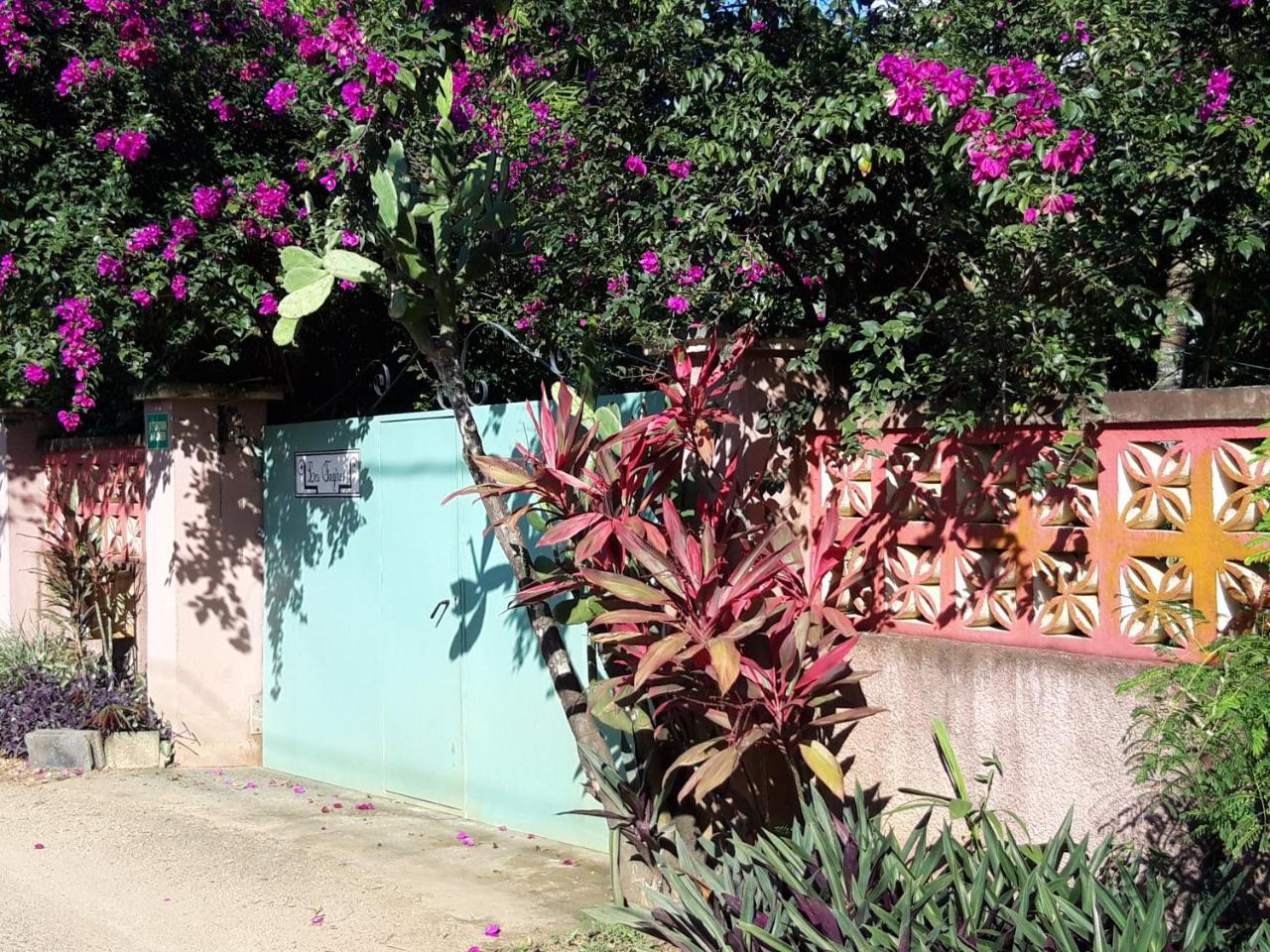 Les Fougeres Villa Baie-Mahault Ngoại thất bức ảnh